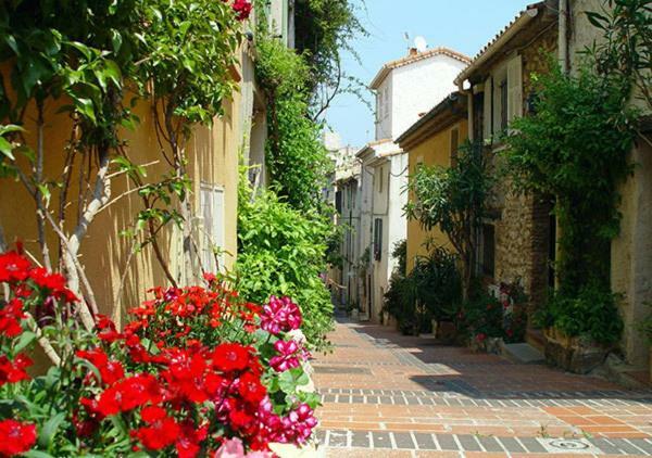 Appartement Vieil Antibes Bagian luar foto
